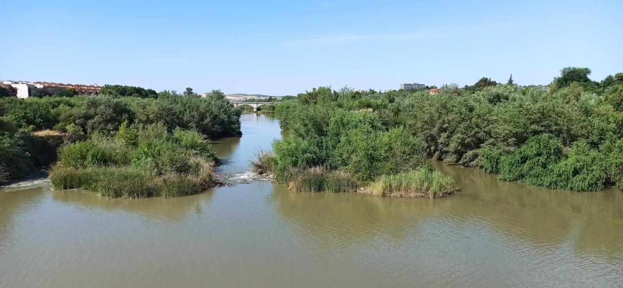 Apartament La Pequena Taifa I Kordoba Zewnętrze zdjęcie